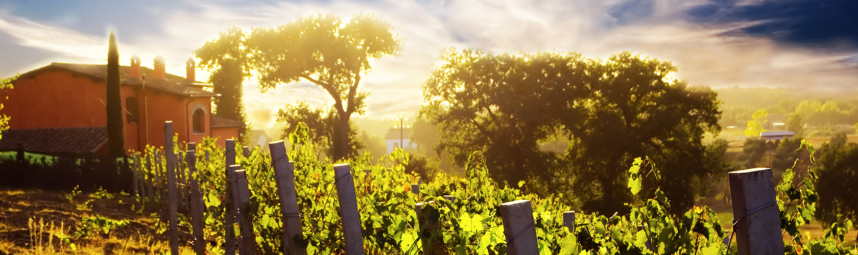 Vinhos de grandes nomes do Velho Mundo