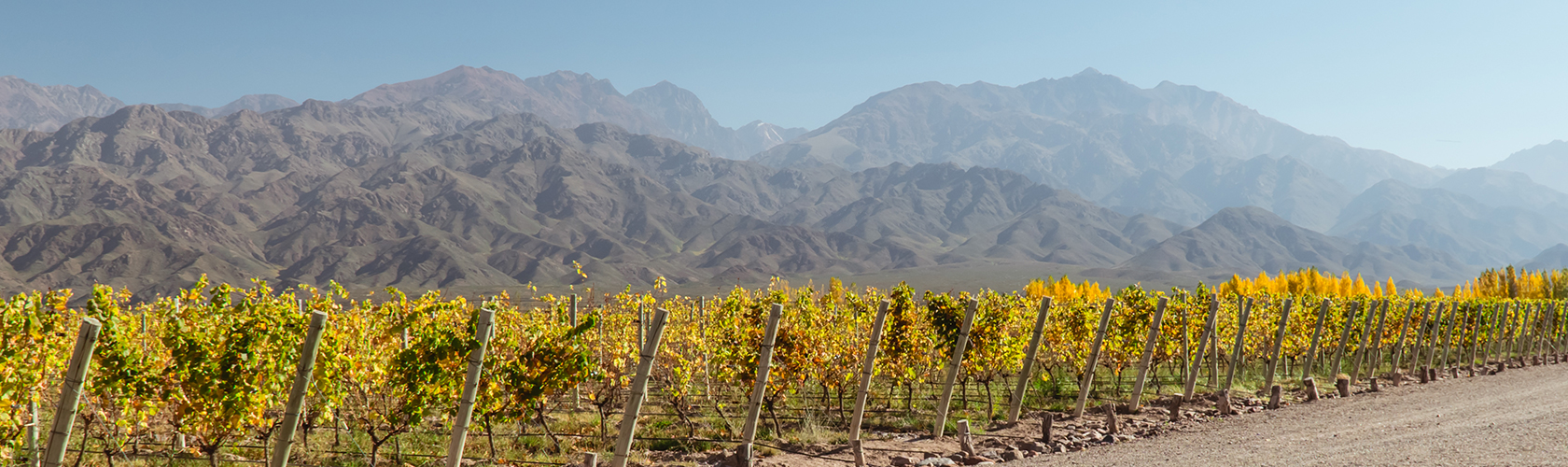 Os grandes vinhos clássicos do Novo Mundo