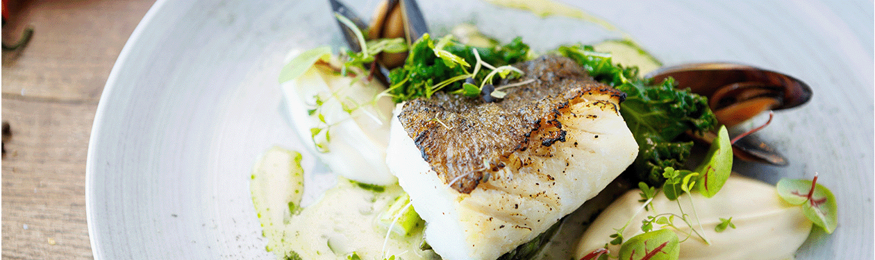 Harmonização com peixes: acerte na escolha do vinho