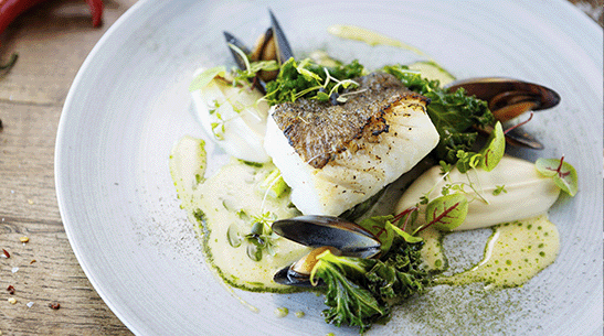 Harmonização com peixes: acerte na escolha do vinho