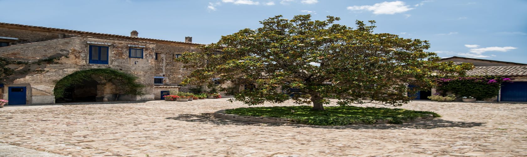 Tasca d’Almerita, a melhor vinícola da Europa