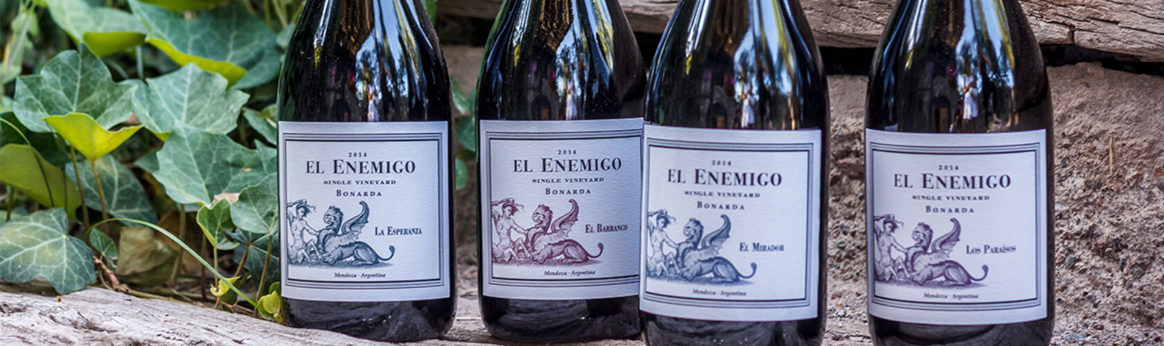 Vinhos de vinhedo único de El Enemigo.