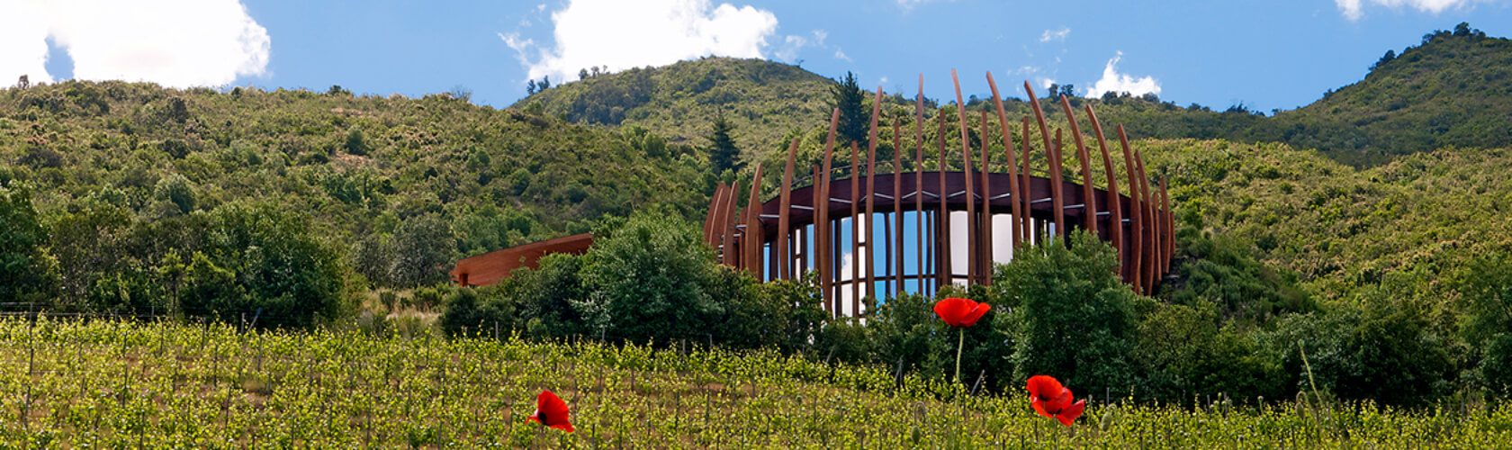 Lapostolle: o cultuado produtor dos mais “franceses” vinhos do Chile