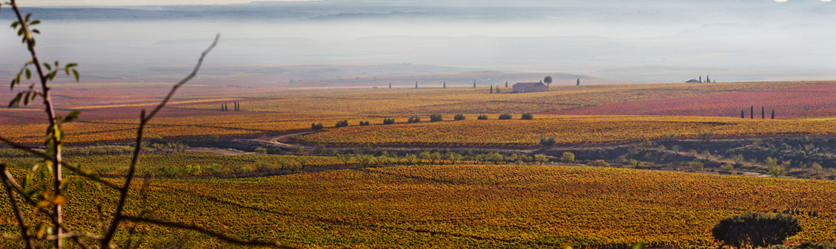 Palacios Remondo, uma das melhores descobertas da Rioja